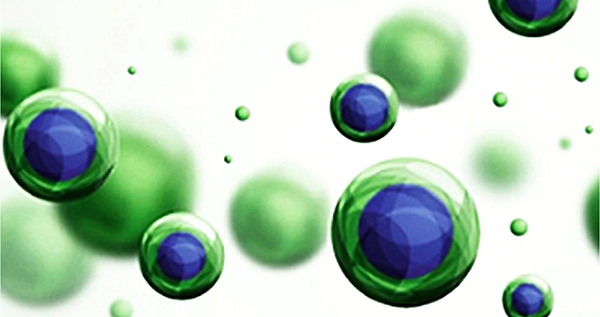 微信图片_20250811104945