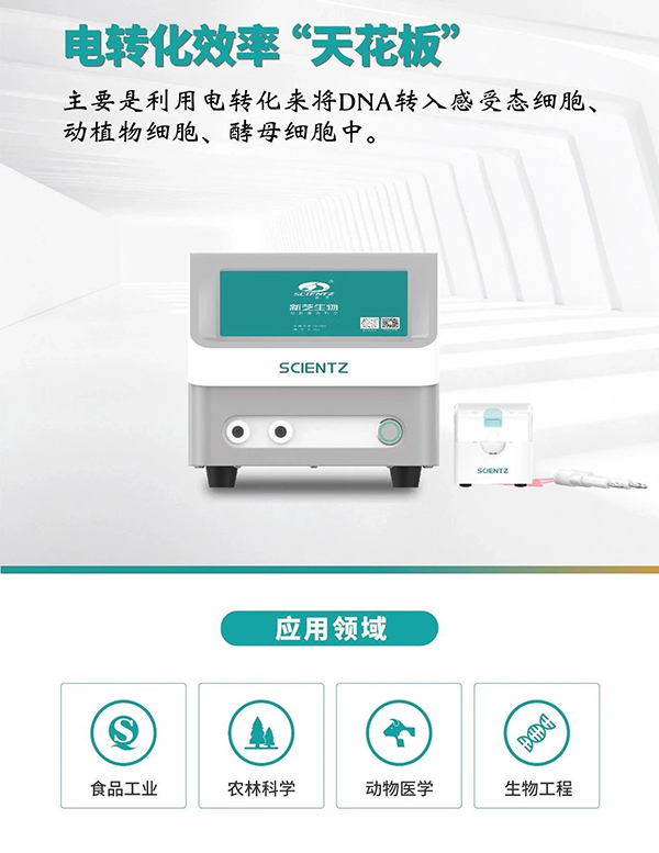 微信图片_20250825083644