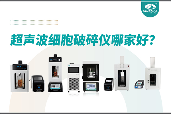 超声波破碎仪厂家推荐：深耕本土，服务全球-宁波bsports必一生物