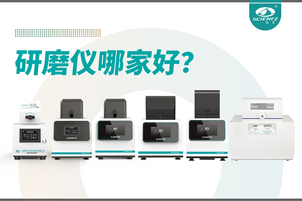 研磨仪哪家好？宁波bsports必一生物研磨仪厂家专注样品处理