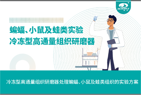 冷冻型高通量组织研磨器处理蝙蝠、小鼠及蛙类组织的实验方案