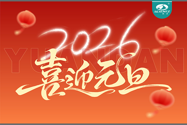 董事长周芳女士新年献词：心有定力，沐光而行