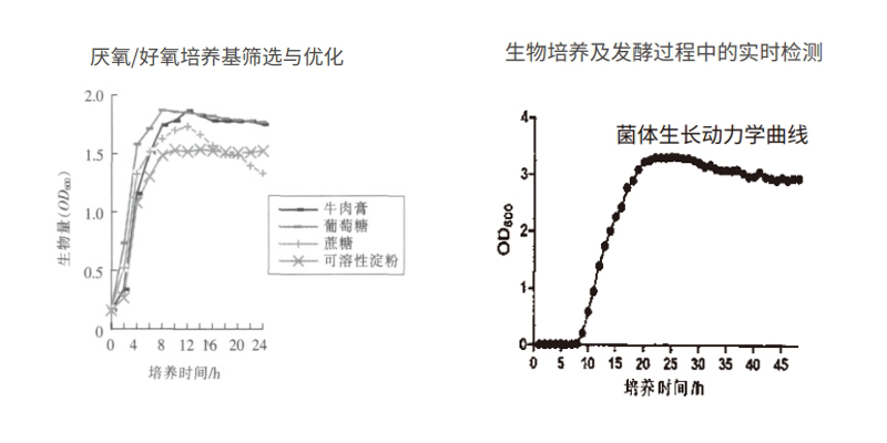 过程安全，结果精准